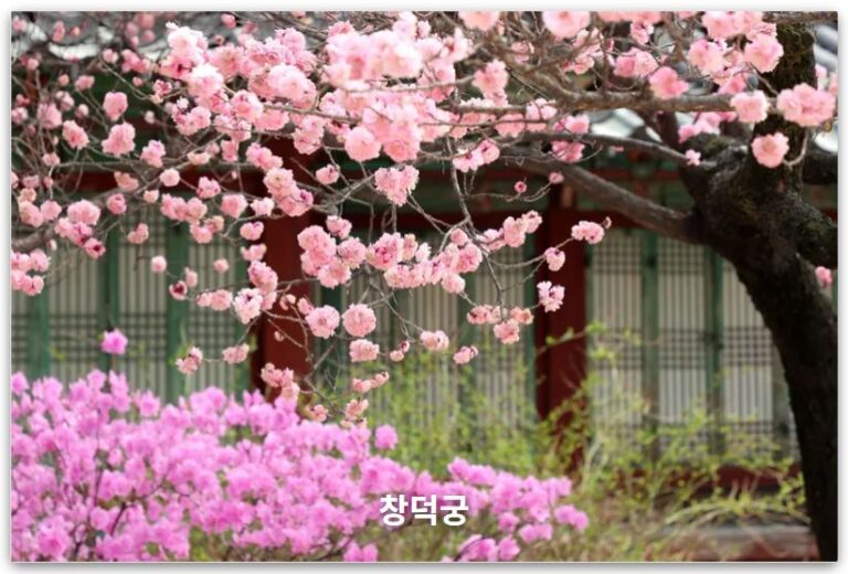 3월 창덕궁 비밀의 정원 탐험 (후원 예약, 꽃 가이드)