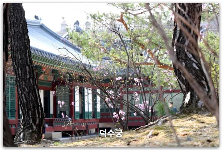 3월 덕수궁 산책: 석조전, 야간개장 꿀팁 총정리