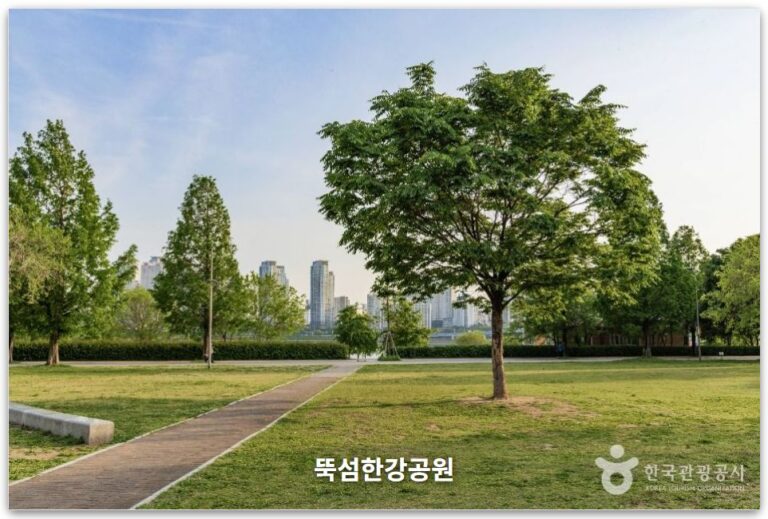 뚝섬한강공원 나들이 추천 💚 피크닉·수영장·자전거 코스 총정리