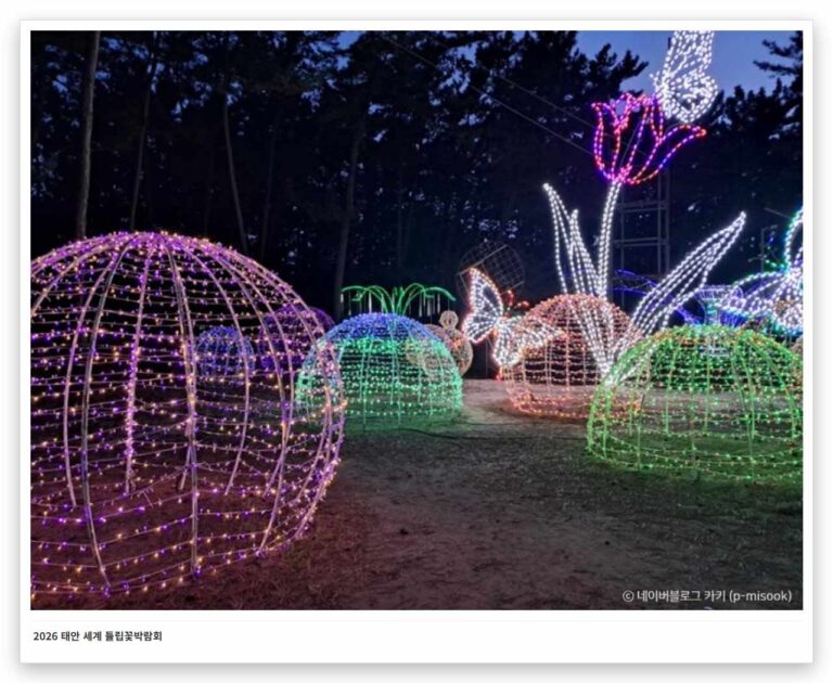 2026 튤립 명소 BEST 3 (태안·순천·에버랜드 총정리)