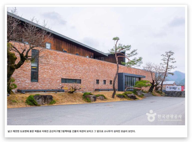 이색 테마 도서관 여행 추천 3곳 (2026년 최신)